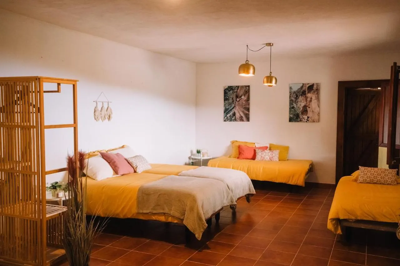 Holiday home Beautiful Olive'S Cave House Villa Arico Spain